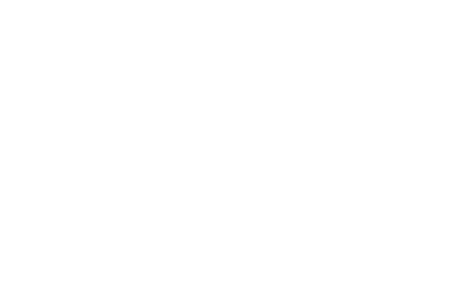 Shopify's Next Guru